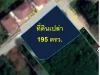 ขายที่ดินเปล่า 195 ตรว สันกำแพง