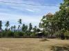 ขายที่ดินซีวิวทะเลเกาะสมุย ตรงหาดบางรัก สามารถมองเห็นทะเล