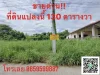 ขายที่ดิน ซอยบงกช 73 ตำบลคลองสอง อำเภอคลองหลวง จังหวัดปทุมธาน