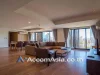 Pet Friendly Apartment 3 Bedroom For Rent BTS Ekkamai in Sukhumvit