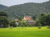 ขายที่ดินวิวดอย วิวดอยหลวง วิวดอยนาง ราคาถูก