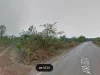 ขายที่ดิน 43-44ไร่ ติดถนนทางหลวงชนบท ที่สวย สนใจสอบถามได้ครับ