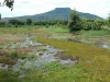 ขายที่ดินสำหรับทำบ้านสวนทำการเกษตร นส3ก ประมาณ 13 ไร่ ติดอ่างเก็บน้ำ