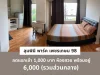 ให้เช่าคอนโด ลุมพินี พาร์ค เพชรเกษม 98 ถูก6000