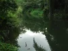 nice landscape closed the long River Lumtakong