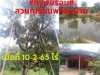 ทรัพย์ร้อนขายที่สวนทุเรียน 10-2-65 ไร่ ตพลงตาเอี่ยม อวังจันทร์ จระยอง