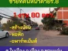 ขายที่ 1 งาน 80 ตรว