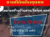 ขายที่ดิน 3 งาน 73 ตรว ถมะลิวัลย์-พระยืน