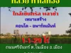 ขายที่ดิน 1-1-29ไร่ ที่ในเมือง ใกล้เช็นทรัลพลาช่าขอนแก่น