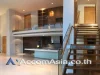 Double High Ceiling Duplex Ficus Lane Condominium 4 Bedroom For Rent amp Sale BTS Phra khanong in Sukhumvit Bangkok