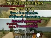 ขายที่ดินสำหรับทำการเกษตร ไม่มีทางเข้า ห่างถนน 40 ม บรรยากาศดี ดิน น้ำ อุดมสมบูรณ์