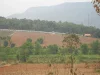 ที่ดินโฉนดเขต อภูเรือ ห่างทางหลวง 300 เมตรไฟฟ้าน้ำสะดวกบรรยากาศดีเหมาะกับบ้านตากอากาศ