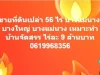 ขายที่ดินเปล่า 56 ไร่ บางใหญ่ บางแม่นาง เหมาะทำบ้านจัดสรร