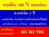 ขายที่ดินสวนปาล์ม เจ้าของขายเอง