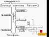 ขายที่ดิน 483 ตรว ตอ้อมน้อย สมุทรสาคร