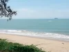 ขายที่ดินติดทะเล หาดแม่พิมพ์ 11 ไร่