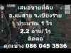 เสนอขายที่ดิน ใกล้หนองน้ำพุ อแม่สาย จเชียงราย ประมาณ1 ไร่ 22 ล้าน ไร่ 