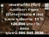 เสนอขายที่ดิน ที่นาถนนเหมืองง่า-จำบอน 1190 อพาน จเชียงราย 11 ไร่ 120000 บาทต่อไร่