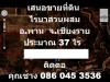 เสนอขายที่ดิน ไร่นาสวนผสม อพาน จเชียงราย ประมาณ 37 ไร่