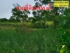 ขายที่ดินเปล่า คลองแปด ซอยอนามัย ธัญบุรี ทำเลดี เหมาะกับการลงทุน