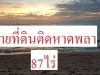 ขายที่ดินติดหาดพลา เนื้อที่87ไร่ ใกล้สนามบิน 4กม