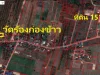 ขายที่ดินติดถนนในชุมชน ตบวกค้าง อสันกำแพง 151 ตรว ใกล้วัดวัดร้องก่องข้าว