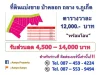 ที่ดินแบ่งขาย ป่าคลอก ถลาง จภูเก็ต Tel087 459 4224 เฉพาะเบอร์นี้มีส่วนลด