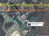 ขายที่ดิน 34 ไร่ ติดขนส่งจังหวัดพิษณุโลก 7 แสนบาทไร่