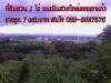 ที่ดินวิวสวยไหล่ดอยเขาแก้ว 1 ไร่ 7แสน 0895637576