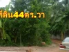 ขายที่ดิน44ตรวา หน้ากว้าง75มลึก20มในหมู่บ้านบ้านท่าช้าง เข้าข้างวัดท่าช้าง200เมตร ที่ดินเหมาะปลูกบ้านอยู่อาศัย15ส