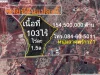 ขายที่ดินเนื้อที่ 103ไร่ ถนนสายบ้านหนองตาพต-บ้านบางเกตุ พบ1045 ซะอำ เพชรบุรี