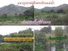 ขายที่ดินเปล่า นส3ก 10 ไร่ ติดแม่นำแควใหญ่ ตวังด้ง อเมือง จกาญจนบุรี