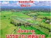 ขายที่ดิน245ตรว-1ไร่ เริ่ม11ลบ ฟรีโอน วิวพระธาตุดอยสะเก็ด