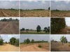 ขายที่ดิน 10ไร่ อำเภอคูเมือง จังหวัดบุรีรัมย์ Land for sale 10 rai Khu Mueang district Buriram province