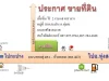 ขายที่ดิน 6 ไร่ 2 งาน ติดถนนสายทุ่งสง - ห้วยยอด อทุ่งสง จนครศรีธรรมราช