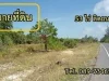 ขายที่ดิน 53 ไร่ ด้านหน้าติดถนนลดยาง ด้านหลังติดทะเล