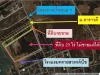 ขายที่ดินติดชายหาดนาจอมเทียน อสัตหีบ พร้อมโอน