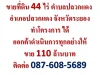 ขายที่ดิน 44 ไร่ ตำบลปลวกแดง