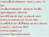 ขาย บ้านเดี่ยวบ้านชัยพฤกษ์ 1 สุวินทวงศ์ 2 ชั้น 2 นอน 3200000 บ