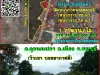 ขายที่ดิน 187 ไร่ ติดถนนบายพาส สระบุรี ใกล้จุดขึ้น-ลง มอเตอร์เวย์ ใกล้โรบินสัน ตกุดนกเปล้า อเมือง จสระบุรี