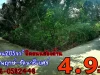 ขายที่ดิน200ตรว ใกล้ถนนราขพฤกษ์