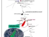 INSIDE HOME ขายที่ดินเปล่า โฉนดที่ดิน เนื้อที่ 36-2-845 ไร่