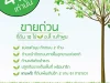 ที่ดิน 10 ไร่ จาก4ล้านบาทเหลือ3ล้านบาท