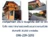 ขาย Apartmenter 12 ห้อง 2 ชั้น เนื้อที่ 50 ตรว