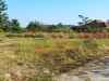 Plot of land for sale in the in Doi Saket Full Chanote LS183-00