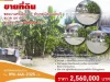 ที่ดิน 64 ตรว ๆ ละ 40000 บาท ซบางศรีเมือง17