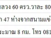 ขายด่วนถูกๆ ที่ดินคลอง5 คลองหลวง 60 ตรววาละ 8000 โทร 0814555465 ที่ดิน อยู่ในซอย คลองห้า ตะวันตก 47 ห่างจากสนามแข่งรถ