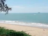 ขายที่ดินติดทะเล หาดแม่พิมพ์ หาดส่วนตัว 75 ไร่ ชายหาดสวยมาก ใกล้โรงแรม 5 ดาว