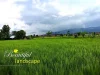 Land for sale 500 sqw kaset ban mai road sansai chiang mai