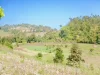 Land for sale closed to Pai Mea Hong Song